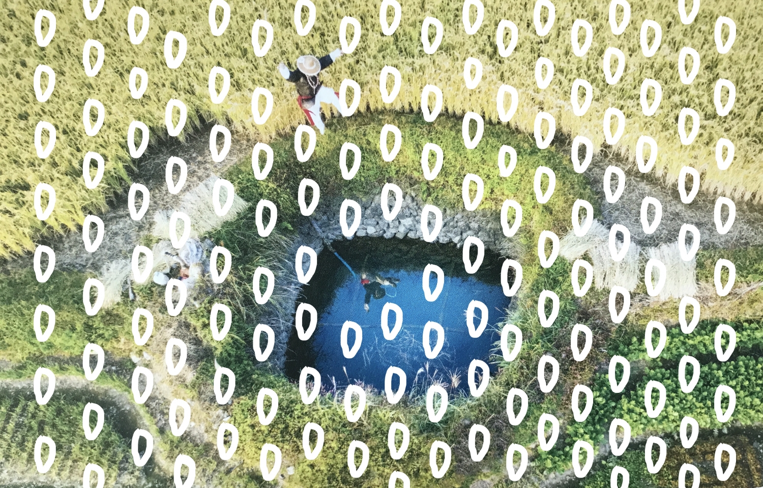 쌀, 의식, 정령 - 참여형 읽기 의례